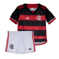 Flamengo Replica Home Minikit 2023-24 Short Sleeve (+ pants)